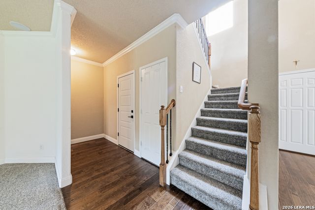 10911 FOX GLOVE FLD, Helotes, TX 78023