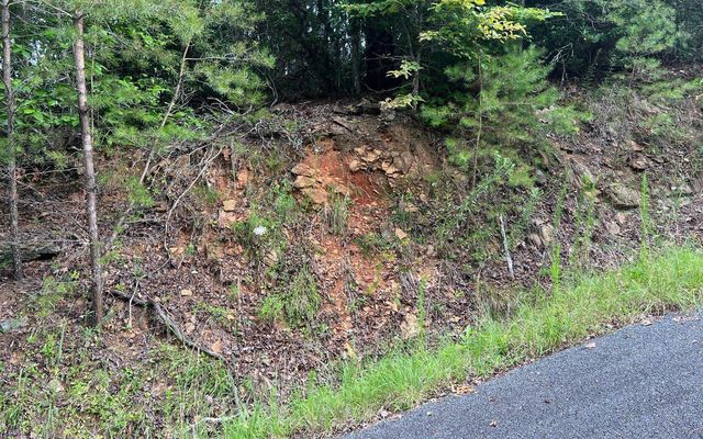 LOT 8 Preserve At Beach Mountain, Brasstown, NC 28902