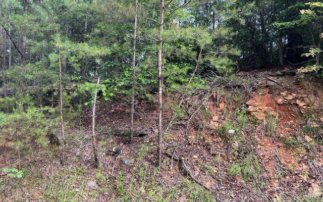 LOT 8 Preserve At Beach Mountain, Brasstown, NC 28902