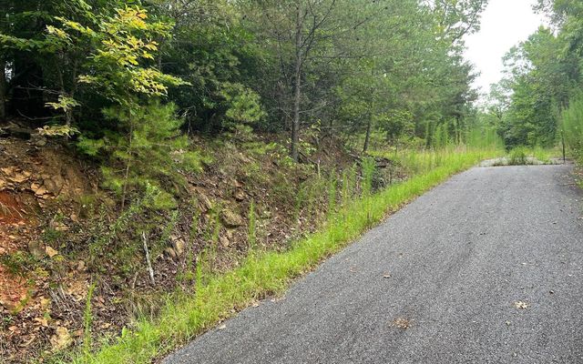 LOT 8 Preserve At Beach Mountain, Brasstown, NC 28902