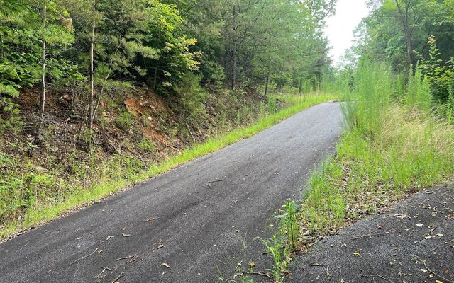 LOT 8 Preserve At Beach Mountain, Brasstown, NC 28902