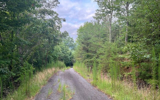 LOT 8 Preserve At Beach Mountain, Brasstown, NC 28902