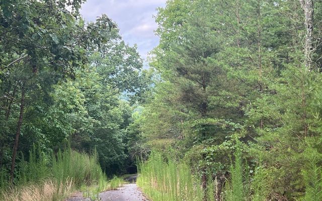 LOT 8 Preserve At Beach Mountain, Brasstown, NC 28902