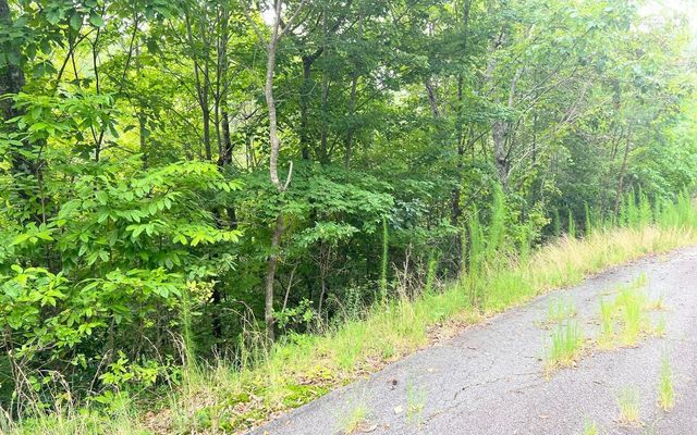 LOT 8 Preserve At Beach Mountain, Brasstown, NC 28902