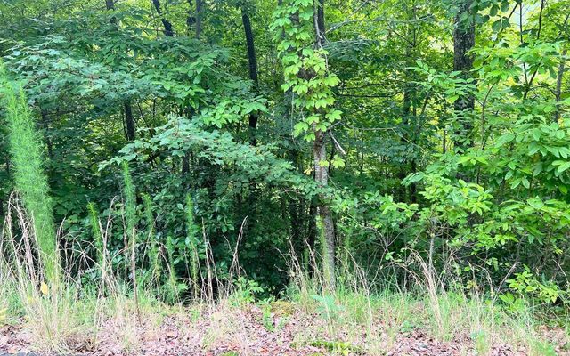 LOT 8 Preserve At Beach Mountain, Brasstown, NC 28902
