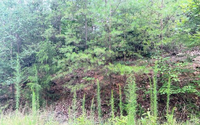 LOT 8 Preserve At Beach Mountain, Brasstown, NC 28902