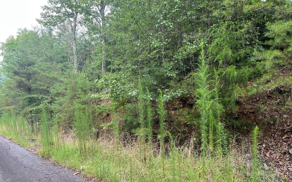 LOT 8 Preserve At Beach Mountain, Brasstown, NC 28902