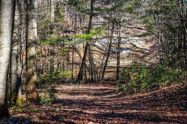 102 Captains Cove, Blairsville, GA 30512
