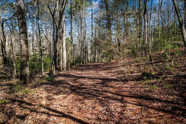 102 Captains Cove, Blairsville, GA 30512