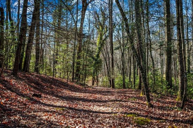 102 Captains Cove, Blairsville, GA 30512