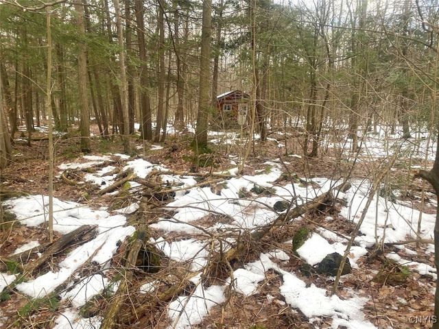 10353 Rogers Road, Centerville, NY 14735