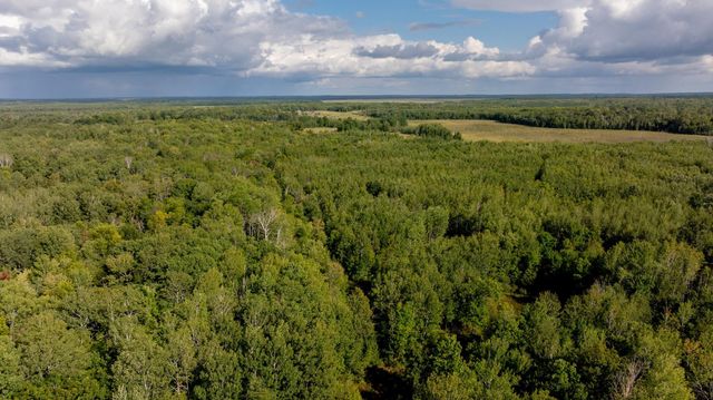 9149 Boy Lake Drive NE, Remer, MN 56672