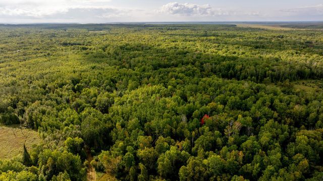 9149 Boy Lake Drive NE, Remer, MN 56672