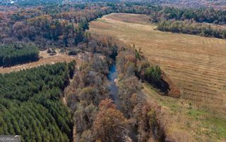 LOT 2 Steadman Lane, Tallapoosa, GA 30176