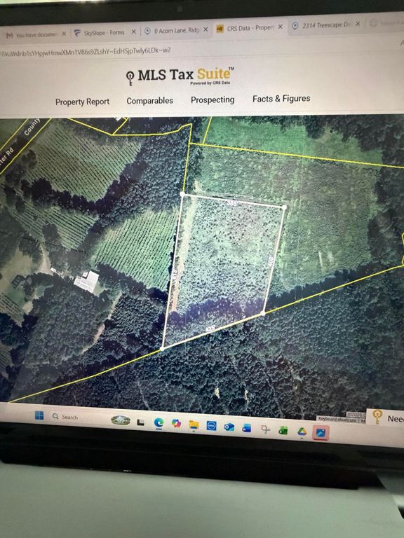 0 Acorn Lane, Ridgeville, SC 29472