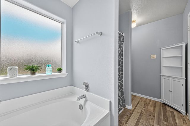 919 Wild Cotton Road, Rosenberg, TX 77471