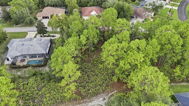 5 Cyclamen Court W, Homosassa, FL 34446