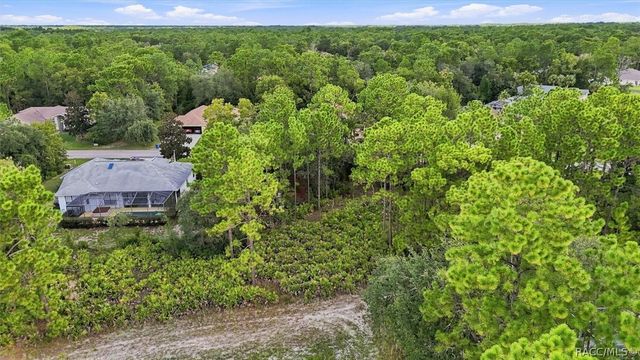 5 Cyclamen Court W, Homosassa, FL 34446