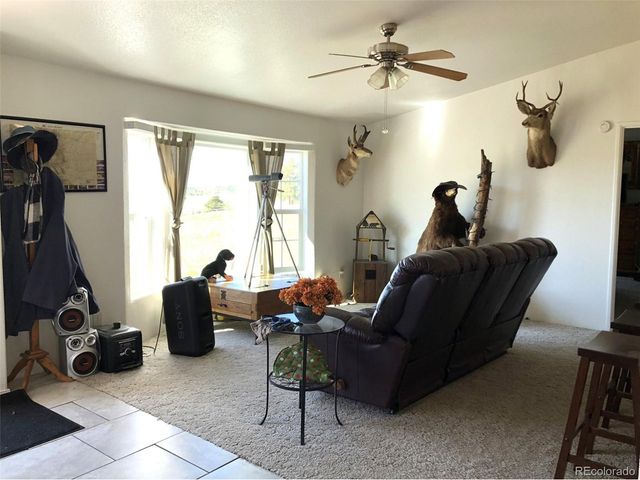 1983 Arapahoe Rd, Hartsel, CO 80449