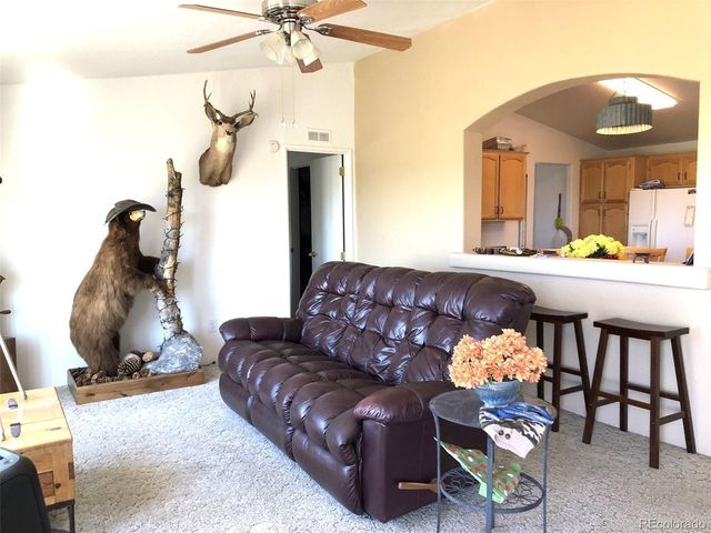 1983 Arapahoe Rd, Hartsel, CO 80449