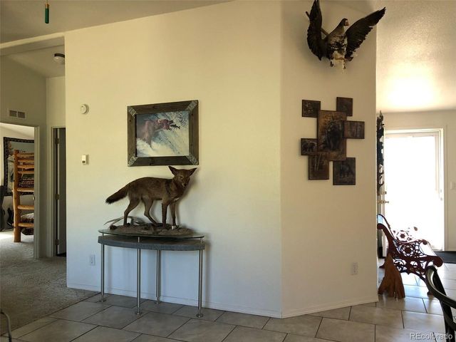 1983 Arapahoe Rd, Hartsel, CO 80449