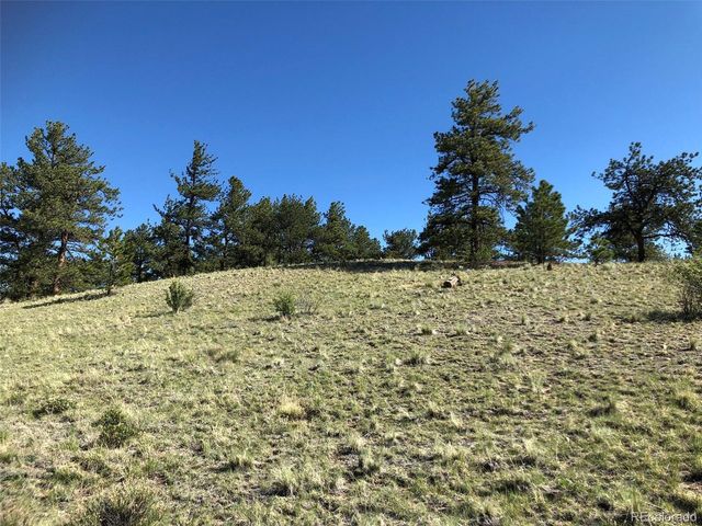 1983 Arapahoe Rd, Hartsel, CO 80449