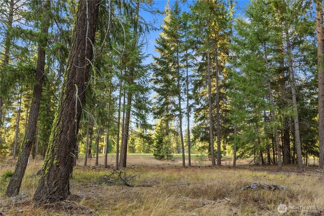 32 Domerie Park Loop, Cle Elum, WA 98922