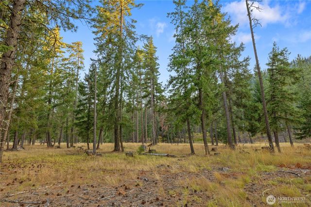 32 Domerie Park Loop, Cle Elum, WA 98922