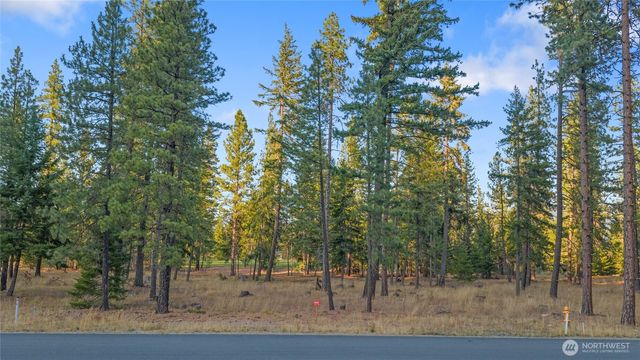 32 Domerie Park Loop, Cle Elum, WA 98922