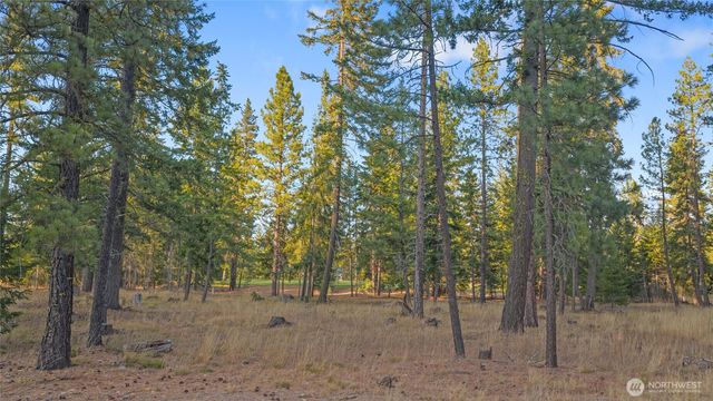 32 Domerie Park Loop, Cle Elum, WA 98922