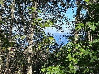 9999 Olallie Trail, Port Angeles, WA 98363