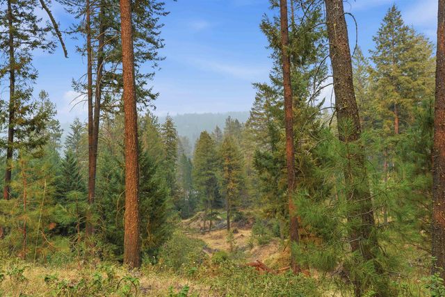 17307 N Little Spokane River Dr, Colbert, WA 99005