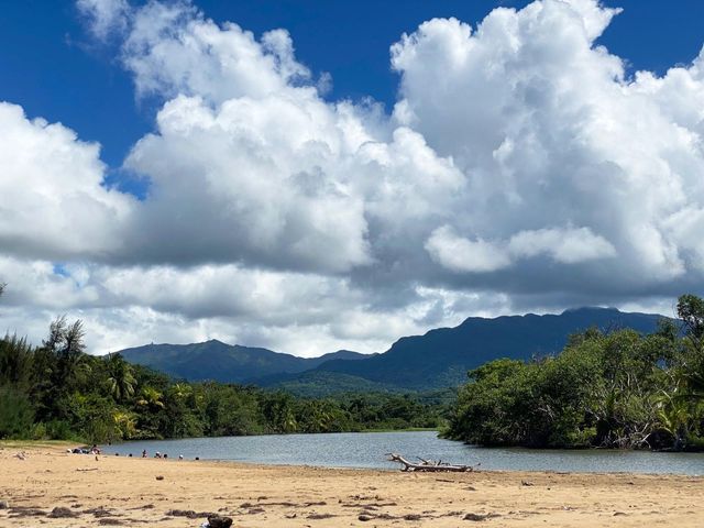 13 MIRADOR NE 13, Rio Grande, PR 00745