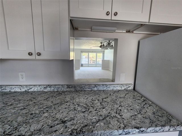 333 LAKE HOWARD DRIVE NW 313A, Winter Haven, FL 33880