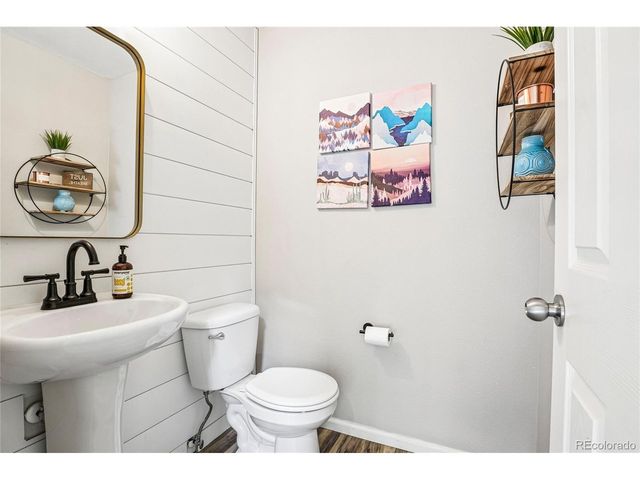 1297 Single Tree Ln, Erie, CO 80516