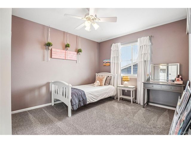 1297 Single Tree Ln, Erie, CO 80516