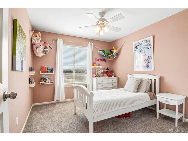 1297 Single Tree Ln, Erie, CO 80516