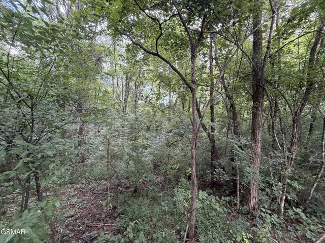 16 Sunrise Boulevard, Kodak, TN 37764