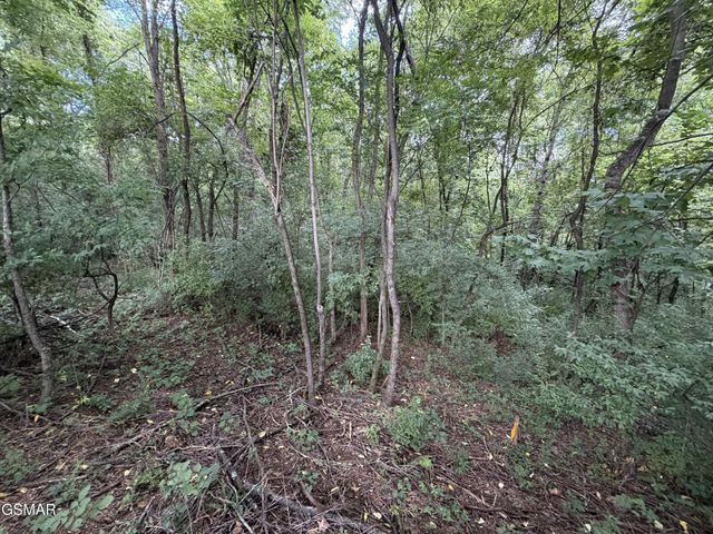 16 Sunrise Boulevard, Kodak, TN 37764