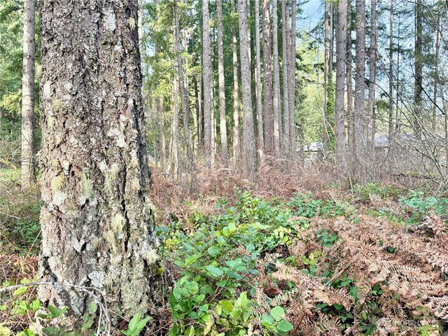 20403 SE 248th Street, Maple Valley, WA 98038