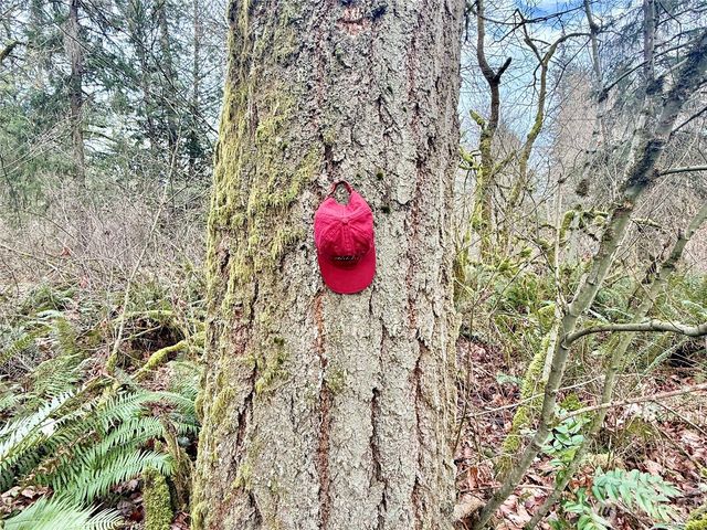 20403 SE 248th Street, Maple Valley, WA 98038