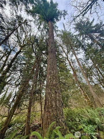 20403 SE 248th Street, Maple Valley, WA 98038