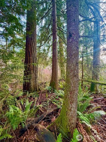 20403 SE 248th Street, Maple Valley, WA 98038