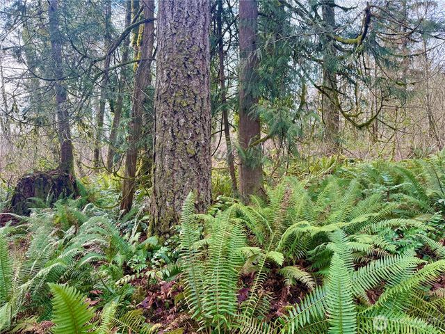 20403 SE 248th Street, Maple Valley, WA 98038