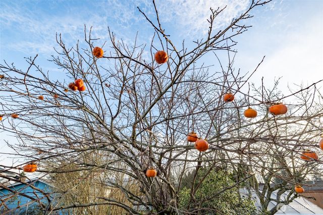 2012 E Belair Drive, Mount Vernon, WA 98273