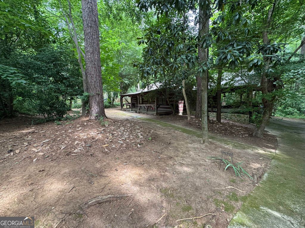 6545 Pleasant Drive, Winston, GA 30187 — photo 3