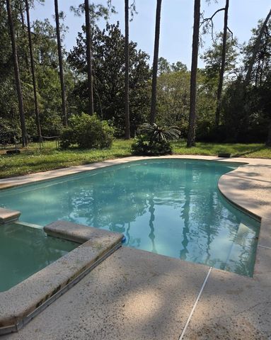 4320 SADDLEHORN TRAIL, Middleburg, FL 32068