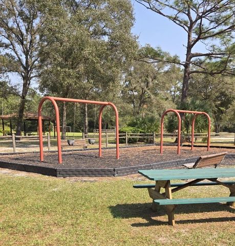 4320 SADDLEHORN TRAIL, Middleburg, FL 32068