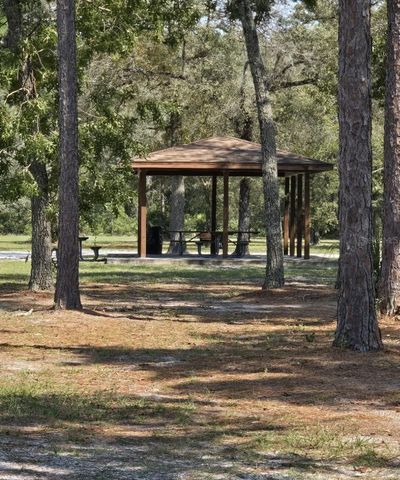 4320 SADDLEHORN TRAIL, Middleburg, FL 32068