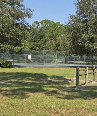 4320 SADDLEHORN TRAIL, Middleburg, FL 32068